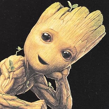 アメコミ　marvel　スーパーログ先生　グルート　サイン付き アメコミ marvel スーパーログ先生 グルート サイン付き - メルカリ
